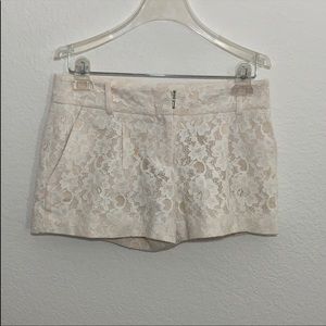 Bcbg cream lace shorts-XS